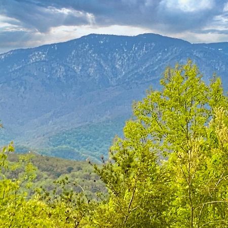 Вилла Amazing Views Гатлинбург Номер фото