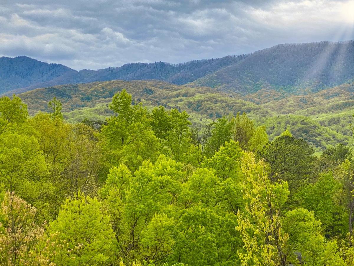 Вилла Amazing Views Гатлинбург Номер фото